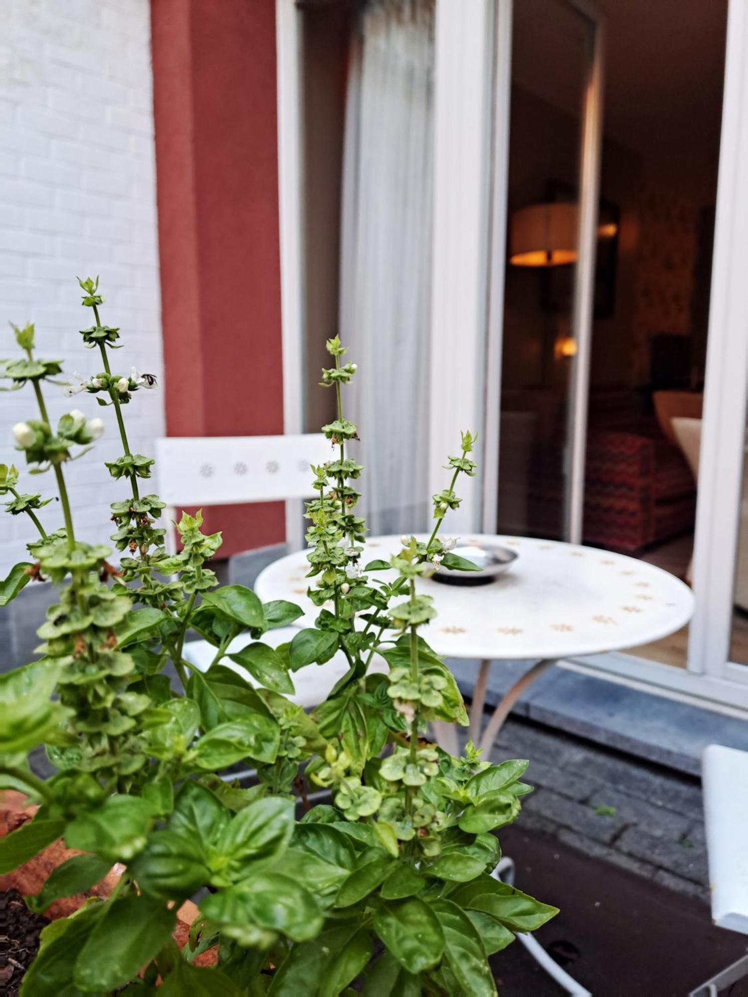 Mas Aparthotel Eu ブリュッセル エクステリア 写真